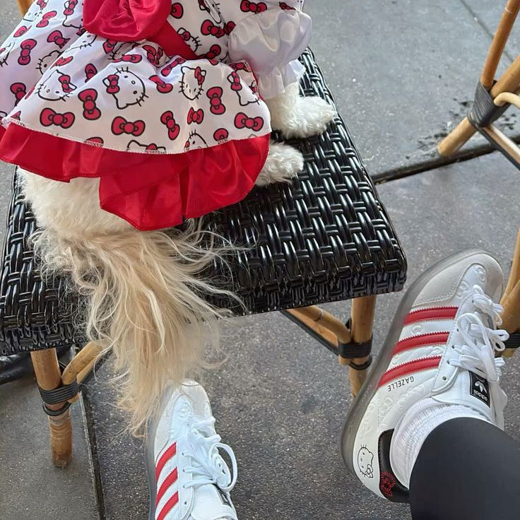 Gazelle Indoor Hello Kitty